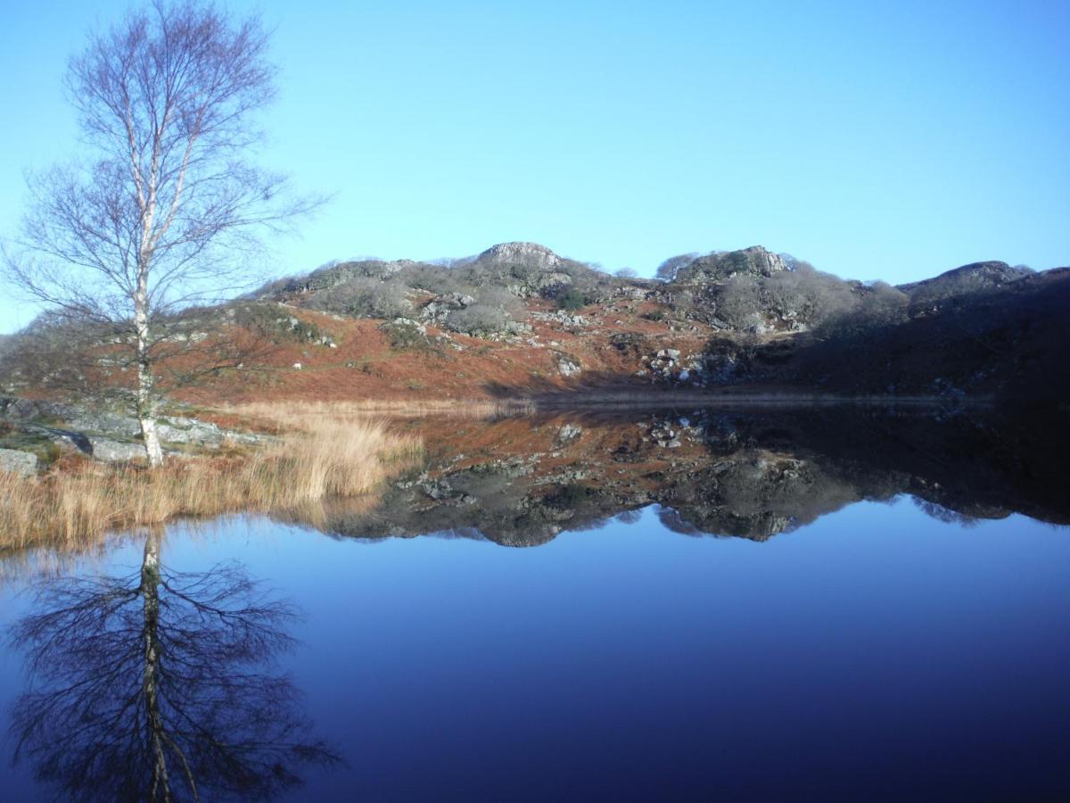 Dinas Hotel Llanbedr  Bagian luar foto