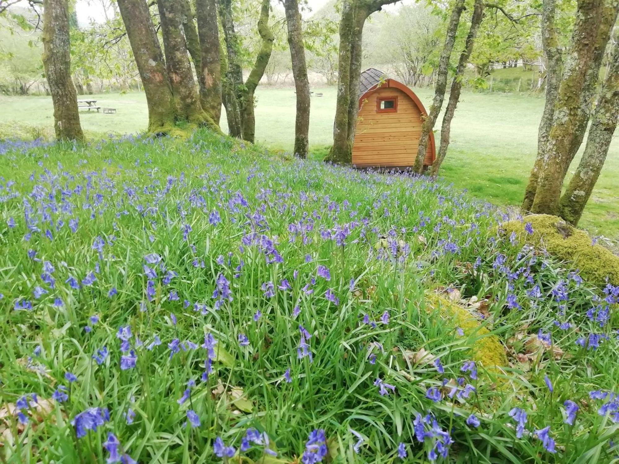Dinas Hotel Llanbedr  Bagian luar foto